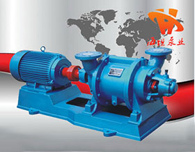 水環(huán)式真空泵SZ型